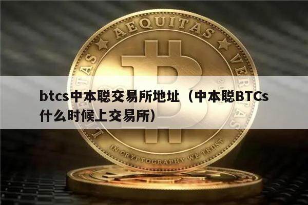 中本聪币_中本聪币未来能成为主流币吗