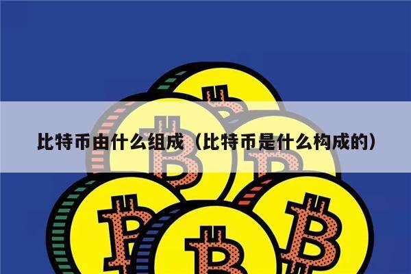 比特币由什么组成（比特币是什么构成的）-第1张图片-欧意下载