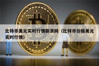 比特币美元实时行情新浪网（比特币价格美元实时行情）