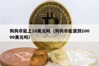 狗狗币能上10美元吗（狗狗币能涨到10000美元吗）