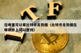 在哪里可以看比特币走势图（比特币走势图在哪软件上可以查找）