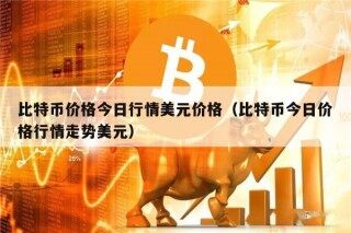 比特币价格今日行情美元价格（比特币今日价格行情走势美元）