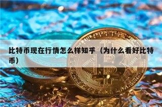比特币现在行情怎么样知乎（为什么看好比特币）