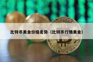 比特币美金价格走势（比特币行情美金）