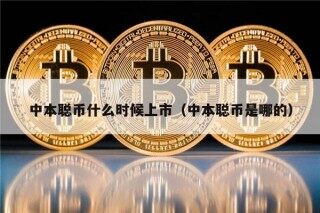 中本聪币什么时候上市（中本聪币是哪的）