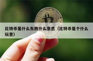 比特币是什么东西什么意思（比特币是个什么玩意）