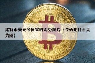 比特币美元今日实时走势图片（今天比特币走势图）
