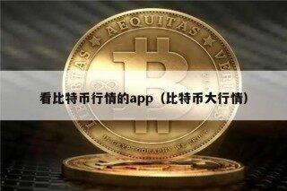 看比特币行情的app（比特币大行情）