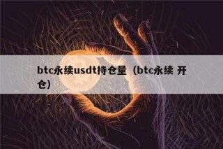 btc永续usdt持仓量（btc永续 开仓）