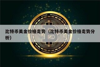 比特币美金价格走势（比特币美金价格走势分析）