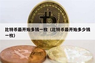 比特币最开始多钱一枚（比特币最开始多少钱一枚）