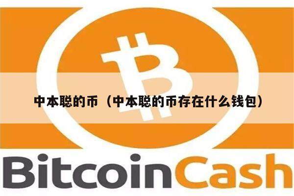 中本聪的币（中本聪的币存在什么钱包）-第1张图片-欧意下载