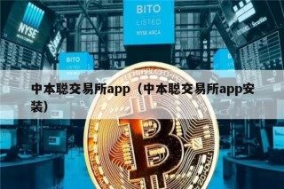 中本聪交易所app（中本聪交易所app安装）