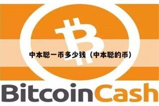 中本聪一币多少钱（中本聪的币）