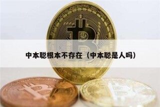 中本聪根本不存在（中本聪是人吗）