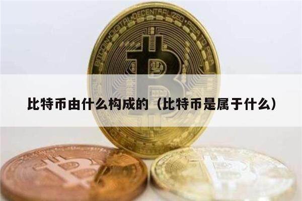 比特币由什么构成的（比特币是属于什么）-第1张图片-欧意下载