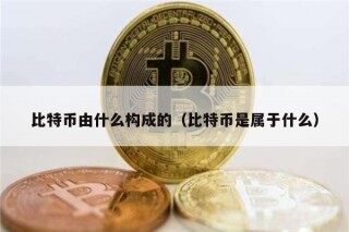 比特币由什么构成的（比特币是属于什么）