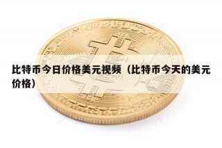 比特币今日价格美元视频（比特币今天的美元价格）