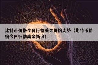 比特币价格今日行情美金价格走势（比特币价格今日行情美金新浪）