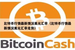 比特币行情最新情况美元汇率（比特币行情最新情况美元汇率走势）