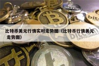 比特币美元行情实时走势图（比特币行情美元 走势图）