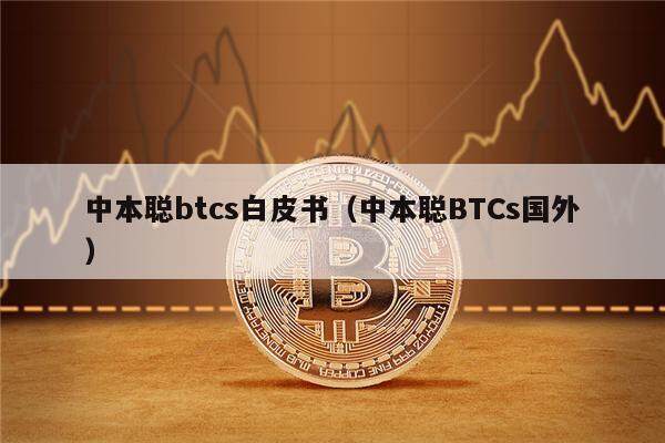 中本聪btcs白皮书（中本聪BTCs国外）-第1张图片-欧意下载
