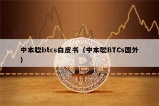 中本聪btcs白皮书（中本聪BTCs国外）