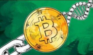 pi币目前最新价格(pi币最新走势）