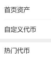 TP钱包如何配置Poriot网络并添加USDT代币-第9张图片-欧意下载