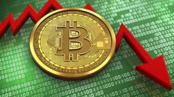 狗狗币未来升值空间如何  11月狗狗币价格