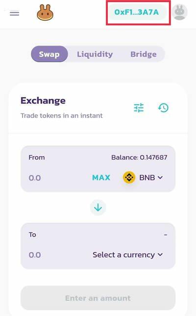 PancakeSwap交易平台支持哪些钱包?PancakeSwap怎么买币?-第4张图片-欧意下载