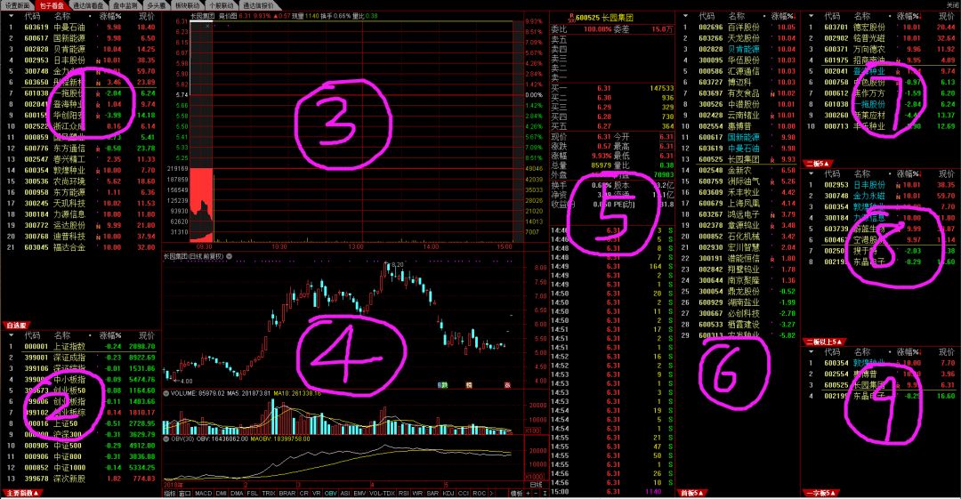 通达信软件下载免费版(通达信最新免费手机版下载)-第2张图片-欧意下载 通达信软件下载免费版(通达信最新免费手机版下载)-第2张图片-欧意下载