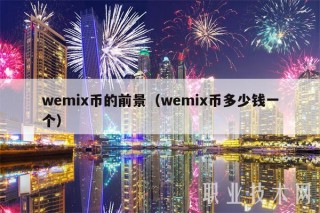 wmi币的前景（wmi币多少钱一个）