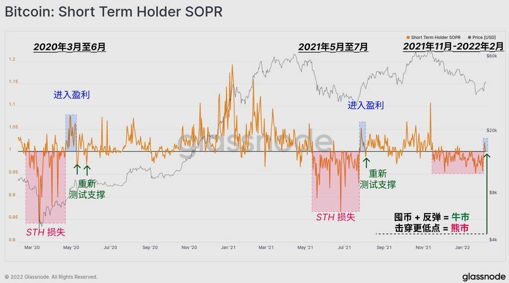 抄底情绪弥漫？新鲸鱼存44612枚BTC 成第14大持有量钱包-第4张图片-欧意下载
