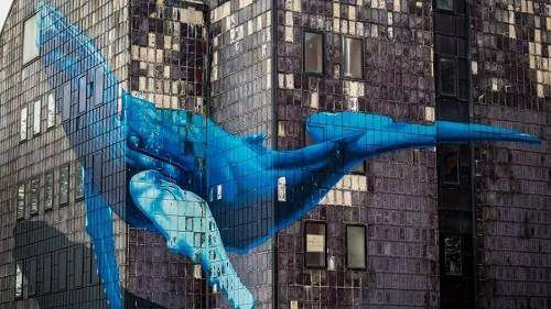 2022比特币交易平台app官网下载(比特币官方app软件)-第2张图片-欧意下载