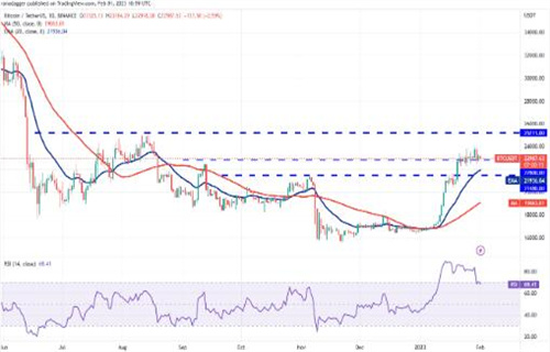 比特币最新价格行情 BTC今日最新价格-第3张图片-欧意下载