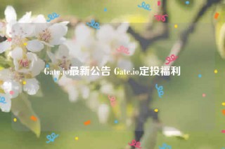 Gat.io最新公告 Gat.io定投福利