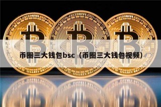 币圈三大钱包bsc（币圈三大钱包视频）