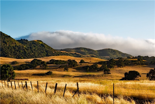 蔡文胜相关地址昨日以来已将3800枚ETH转入币安-第1张图片-欧意下载 蔡文胜相关地址昨日以来已将3800枚ETH转入币安-第1张图片-欧意下载