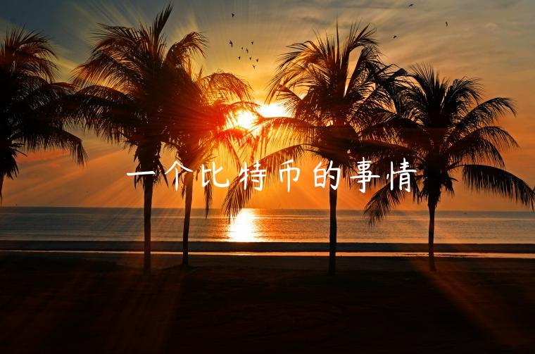 一个比特币的事情-第1张图片-欧意下载