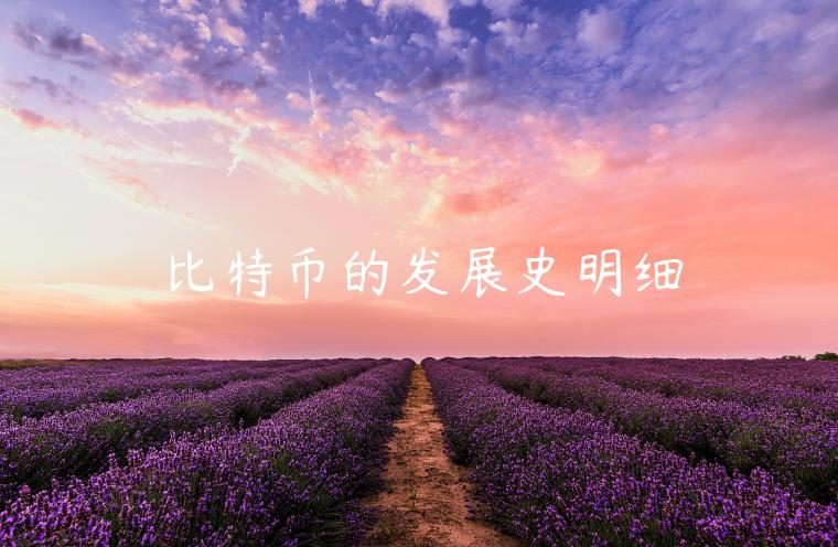 比特币的发展史明细-第1张图片-欧意下载