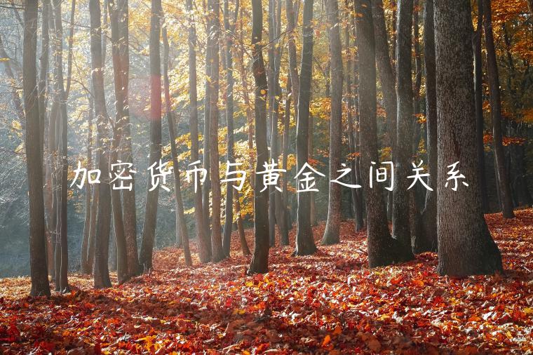 加密货币与黄金之间关系-第1张图片-欧意下载