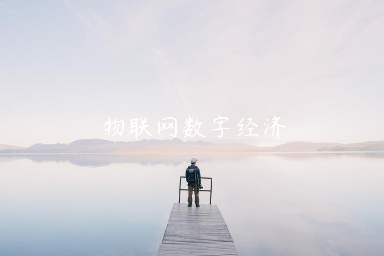物联网数字经济-第1张图片-欧意下载