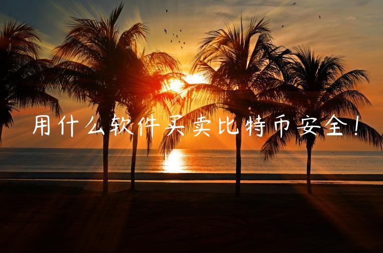 用什么软件买卖比特币安全！-第1张图片-欧意下载