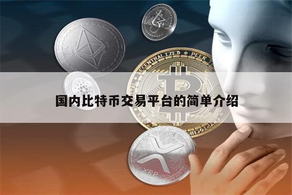 国内比特币交易平台哪些好 国内数字货币交易平台哪些比较安全-第1张图片-欧意下载