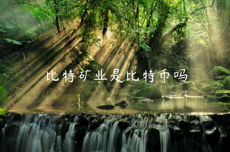 比特矿业是比特币吗-第1张图片-欧意下载