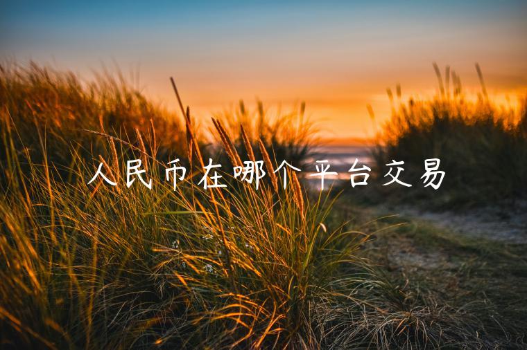人民币在哪个平台交易-第1张图片-欧意下载