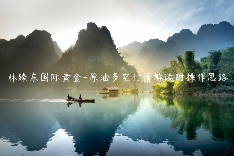 林臻东国际黄金-原油多空行情解读附操作思路-第1张图片-欧意下载