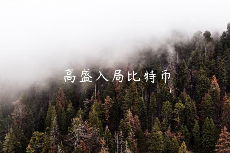 高盛入局比特币-第1张图片-欧意下载