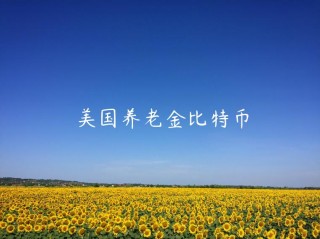 美国养老金比特币